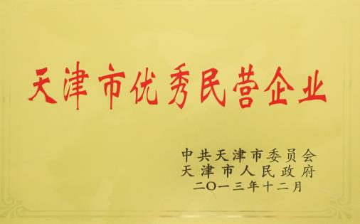 天津市优秀民营企业